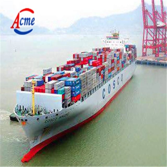 Professional Sea Shipping Safe Quick Full Container Freight to Peru/Chile/Panama