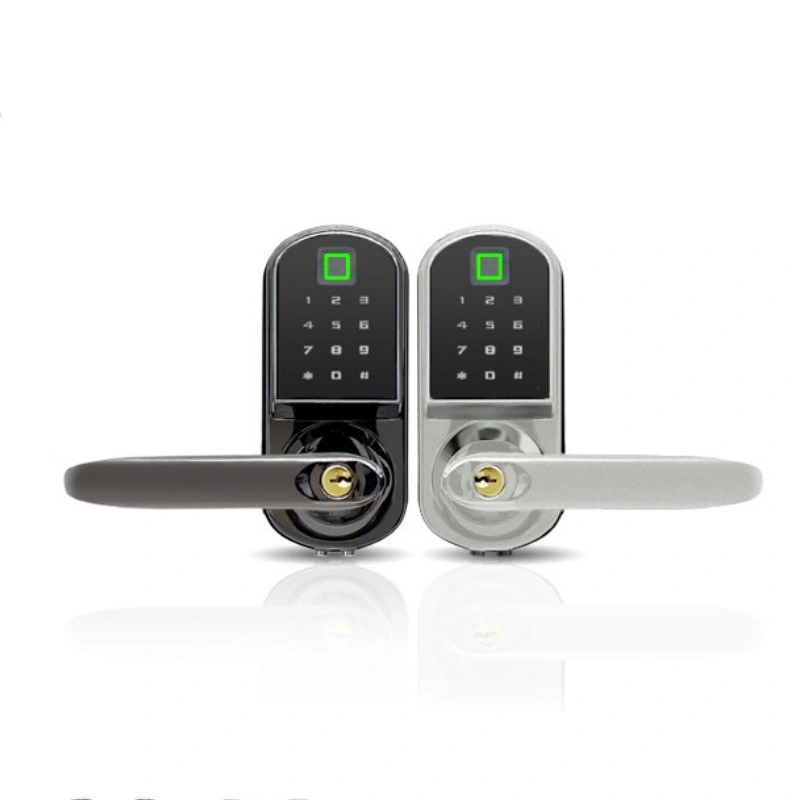 Touch Keypad Wireless Remote Control Bt Door Lock for Office Hotel Apartment Security Tt Lock APP