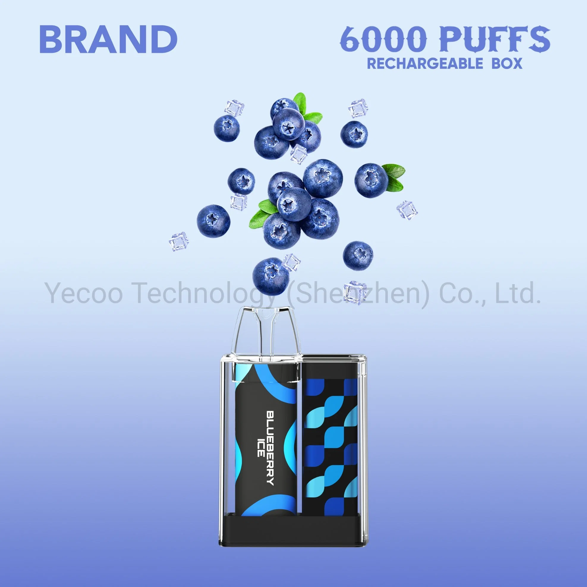 Factory Disposable/Chargeable Electronic Cigarette 6000 Puff Fruit Flavor Mesh Coil Vape Pen
