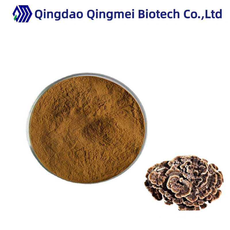 Natural Polysaccharide Yunzhi Mushroom Extract Coriolus Versicolor Extract