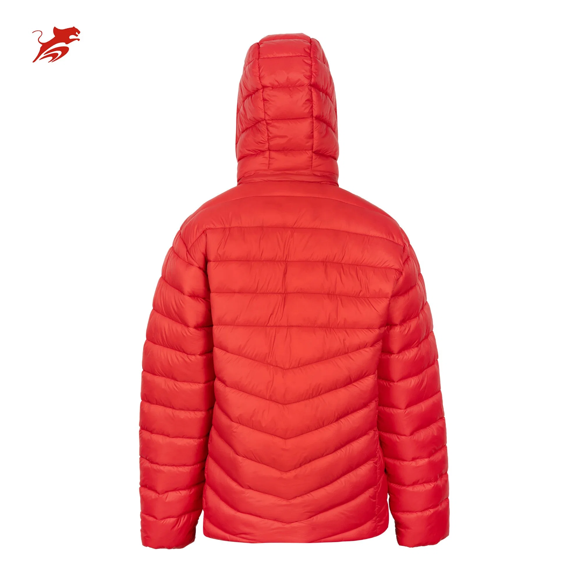 Asiapo Original Factory personalizó el último polar cálido de invierno para mujer de alta Quality Classic Damas′ Hooded Fashion All-Match Puffer Chaquetas acolchadas acolchadas