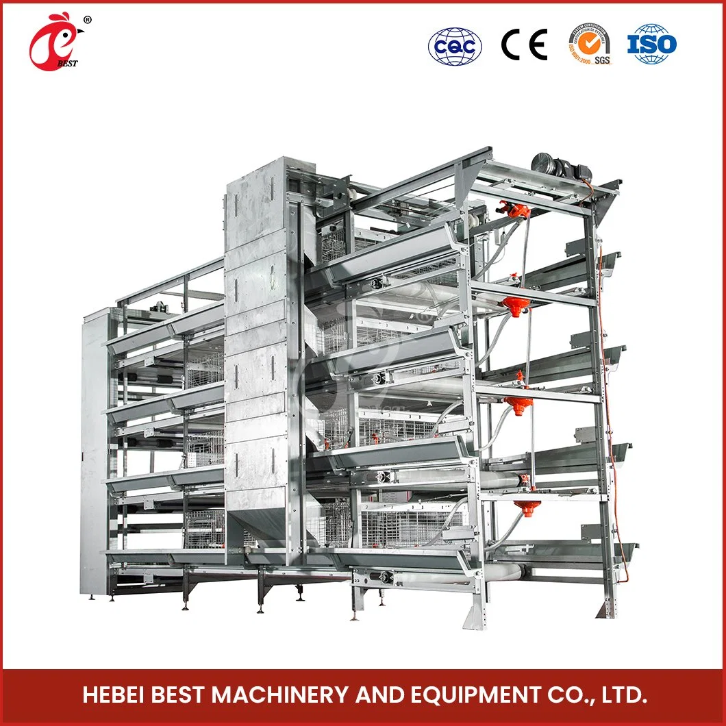 Bestchickencage H Frame Broiler Cages China Flat Chicken Coop Manufacturing Steel Material Poultry Farming Broiler Cage