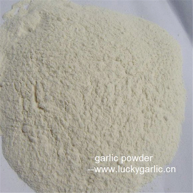 Natural Organic Garlic Powder Food Spice