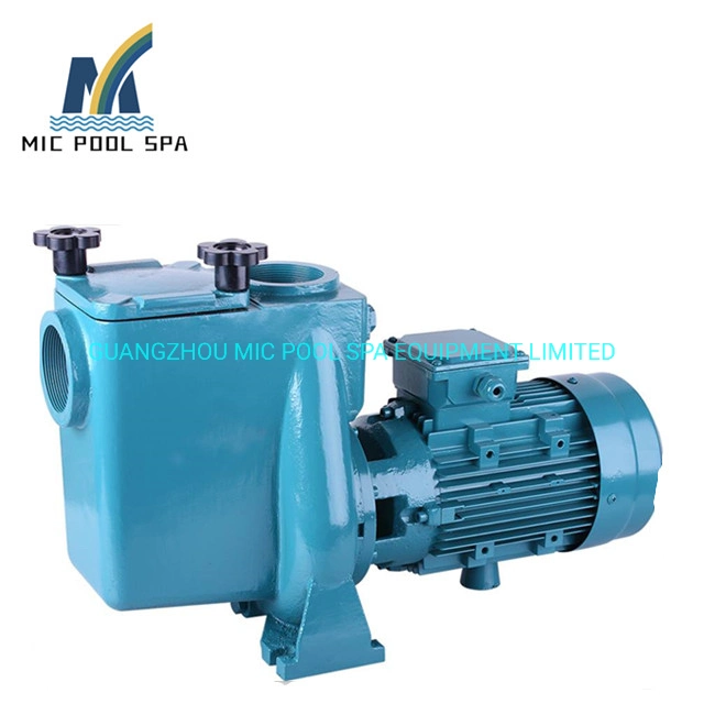 Small Circulating Steel Water Pump 50Hz High Pressure Electric Swimming Pool Pumps for Commercial Pool