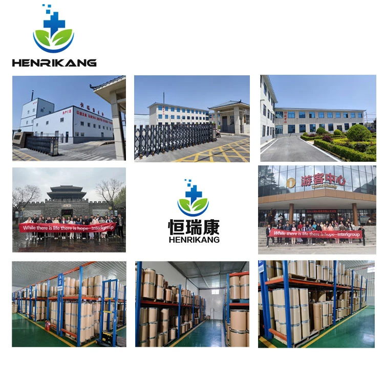 Factory Supply Berberine Hydrochloride Powder CAS 633-65-8 Chinensis Extract Powder Berberine Hydrochloride