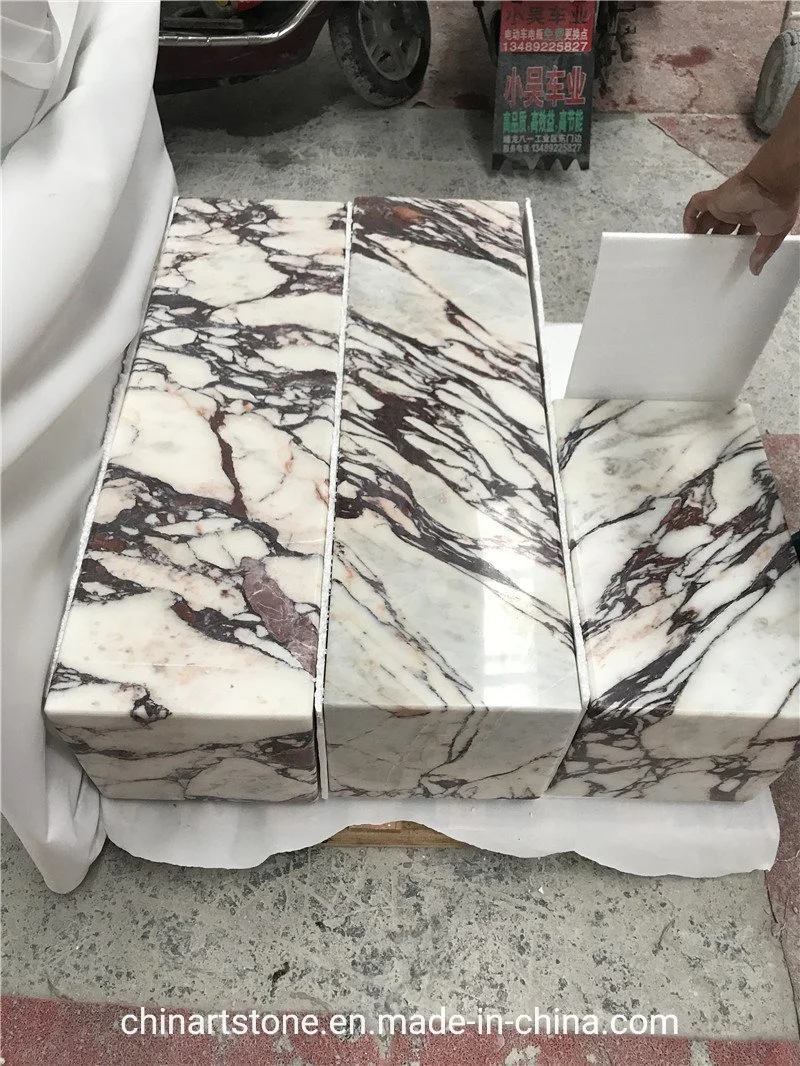 Nature Calacatta Purple/Viola/Granviola Paonazzo Stone Marble for Step and Other Products