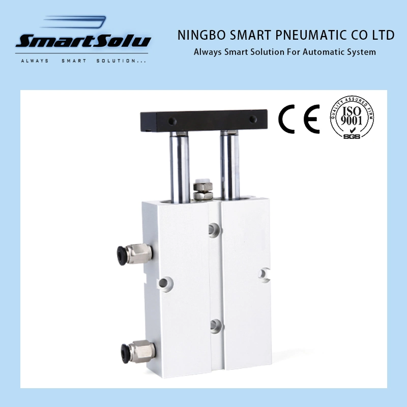 SMC Cxsm Series Double-Shaft Pneumatic Air Cylinder