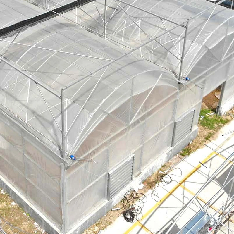 Agricultural Small Garden Greenhouse with Hydroponic System