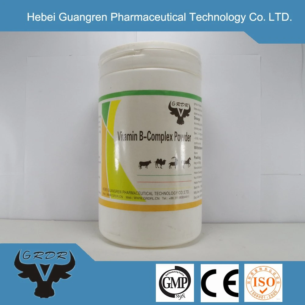 2023 Upgraded Veterinary Drug Vitamin B Complex Powder for Poultry/Fighting Cock/Racing Pigeon