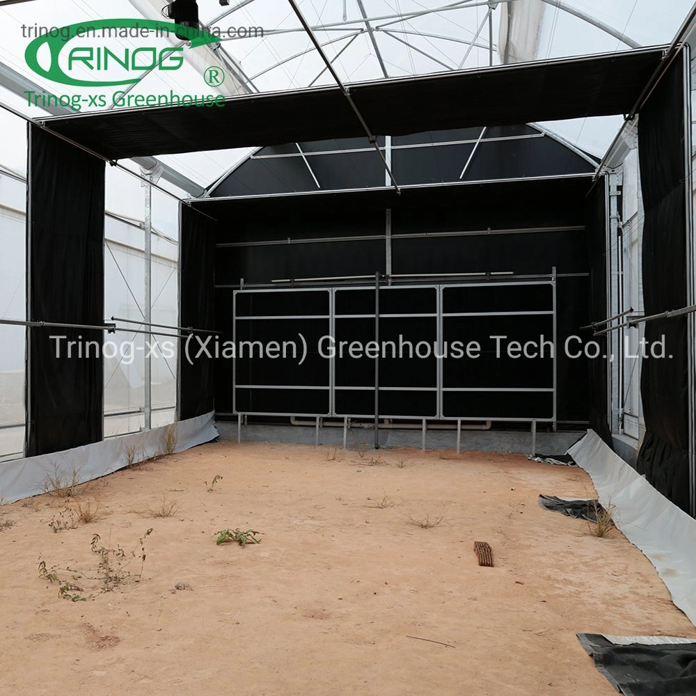 Trinog Greenhouse climate controlled fully automated light depth screen system green house for herb plant