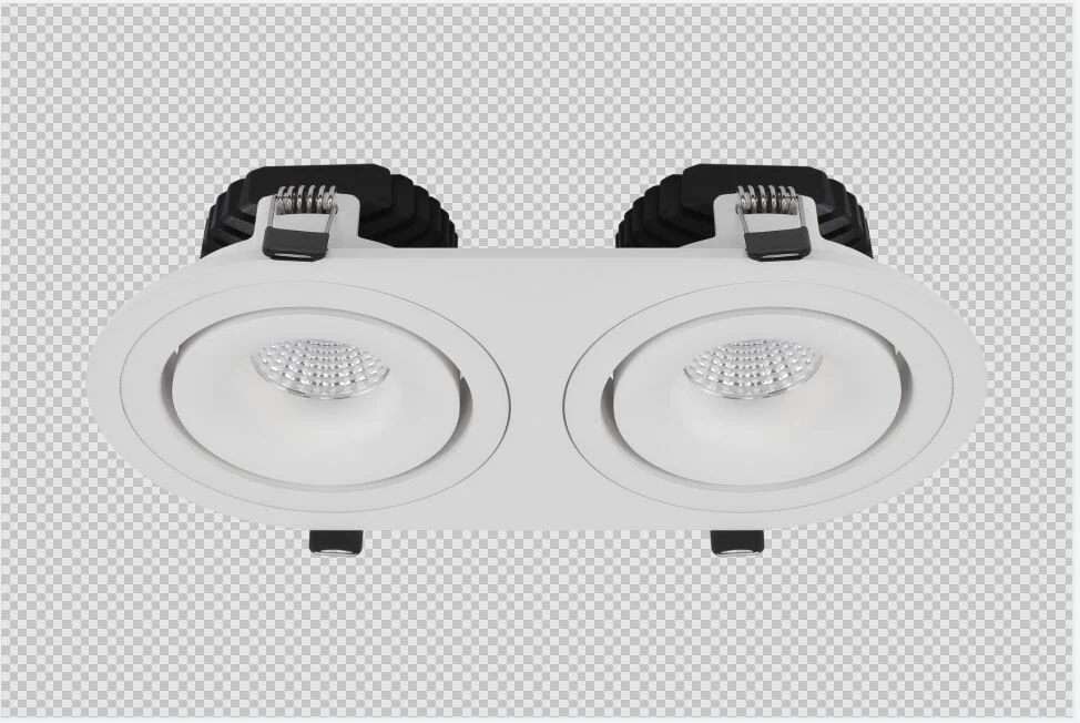 Double Heads Customized 24W 40W Dali Dimmable 3000K LED Down Light