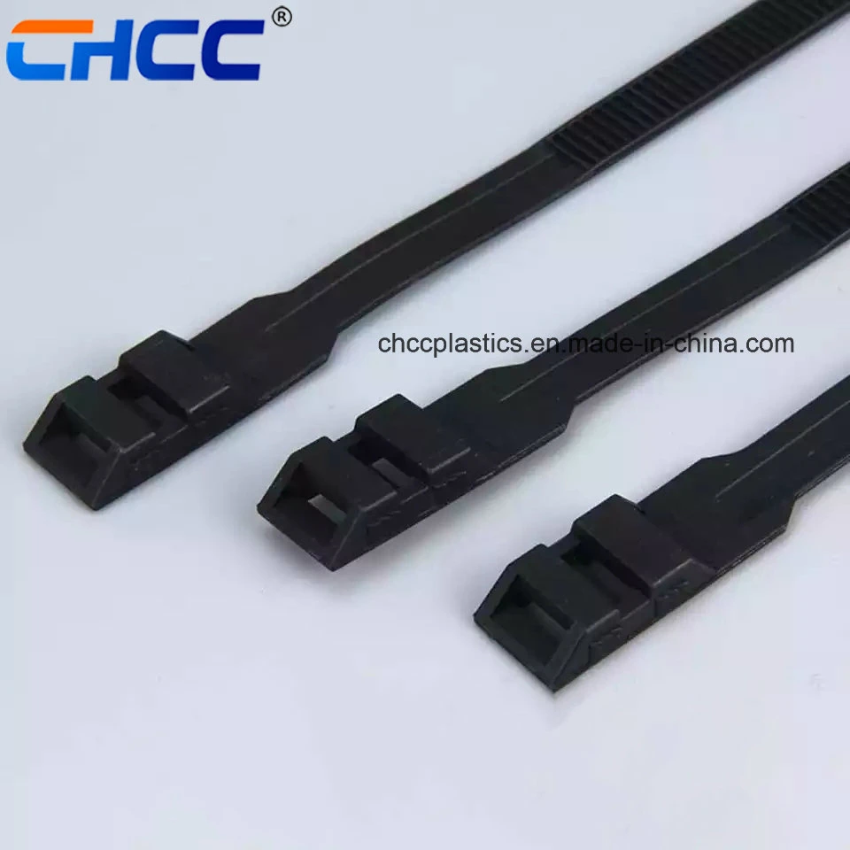 Double Head Double Locking Nylon 66 Self-Locking Cable Tie