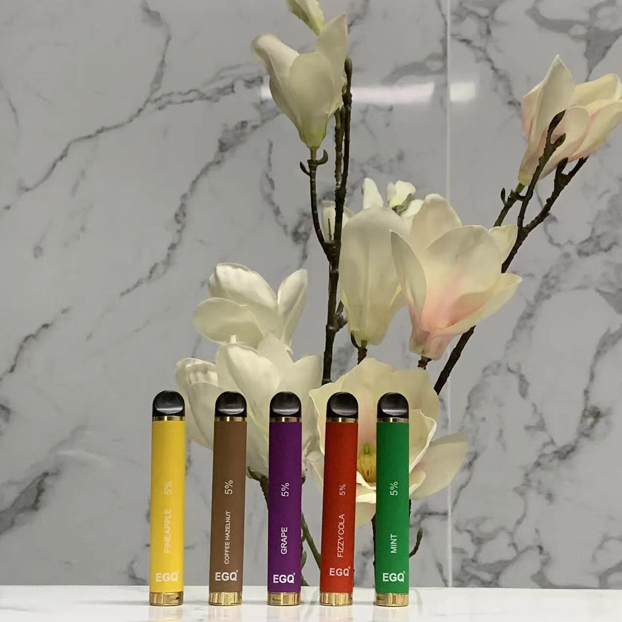 10 Regular Flavors Egq 800 Puffs Disposable/Chargeable Vape Pen 550mAh Disposable/Chargeable Mini vape