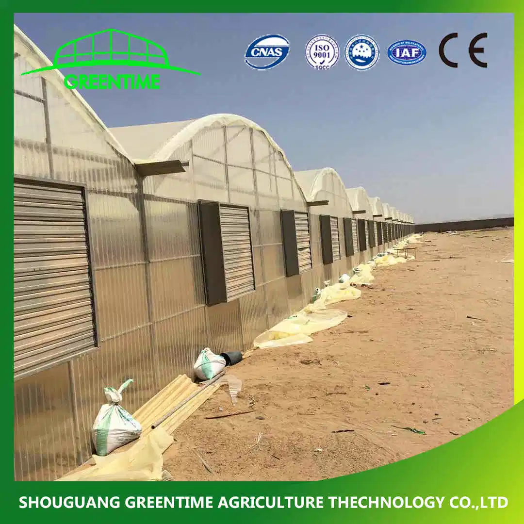 Round Type Polycarbonate Plastic PC Greenhouse for Vegetables/Flowers/Tomato/Cucumber Cultivation with Cooling System