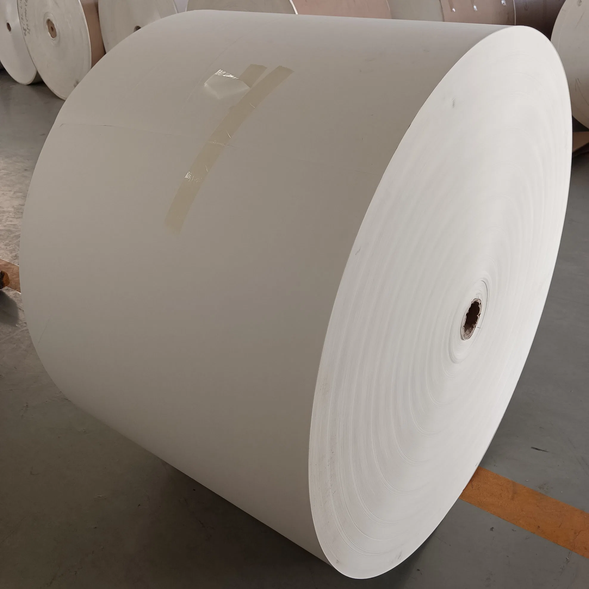 Wholesale/Supplier Friendly White PLA Coated Paper Cardboard for Paper Bowl