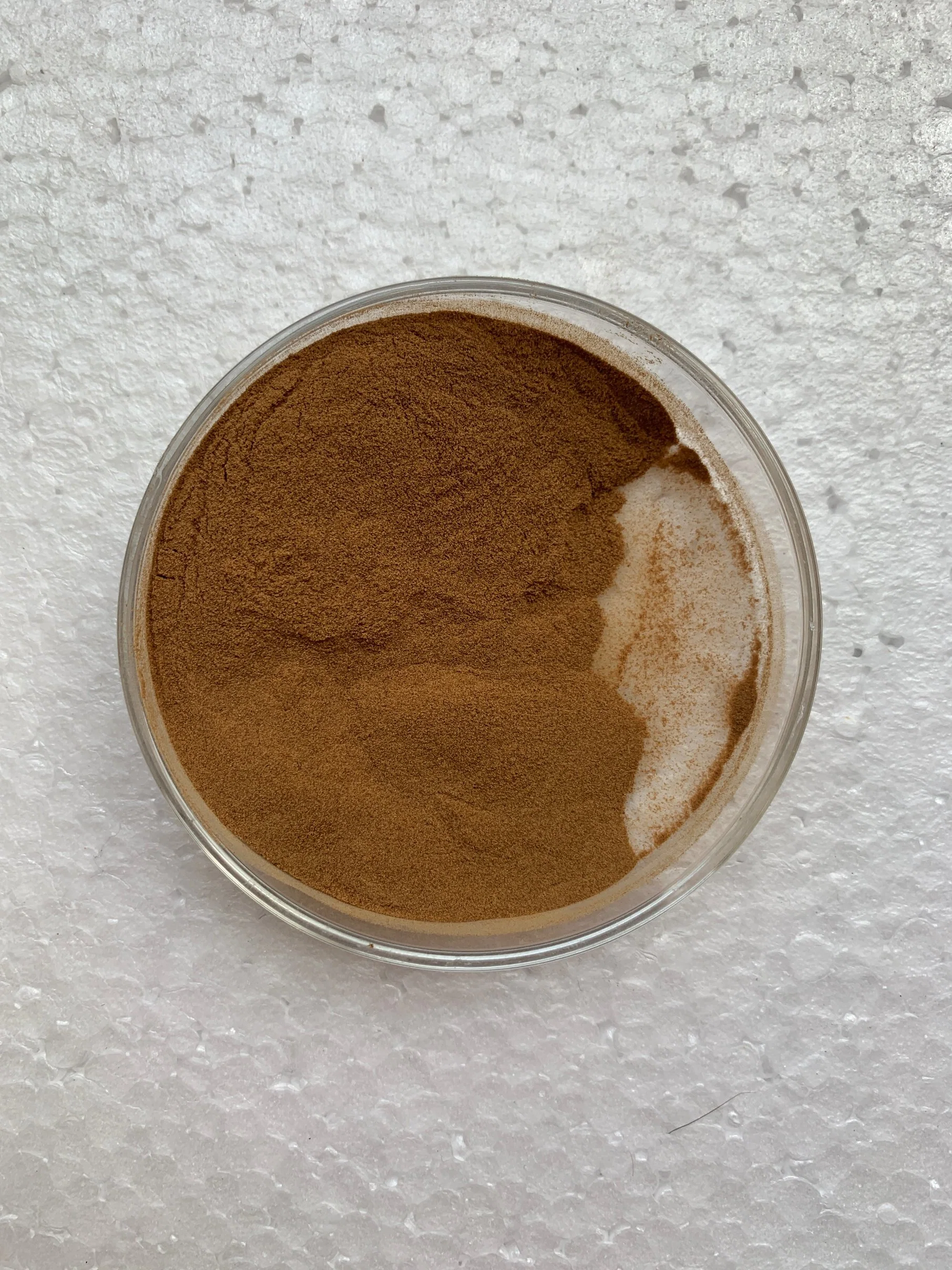 Top Quality Dried Lion Mane Hericium Extract Mushroom Hericium Erinaceus Powder