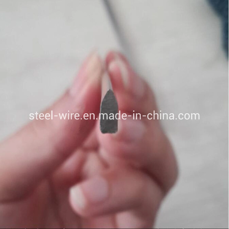 Stainless Steel Spring Wire Special Shaped Stainless Steel Profile Wire