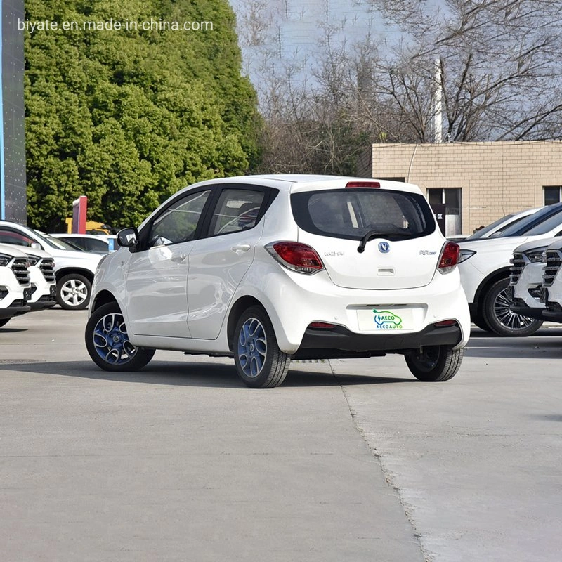 High Speed Electric Car Made in China 125km/H with Airbags Own One-Key Remote Control of The Car