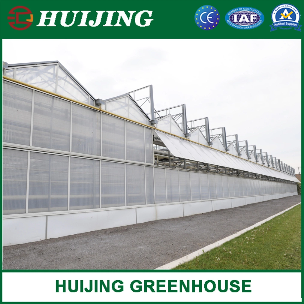 Agricultural Hollow Polycarbonate /PC Sheet Multi-Span Greenhouse for Vegetables/Garden/Hydroponics/Flower