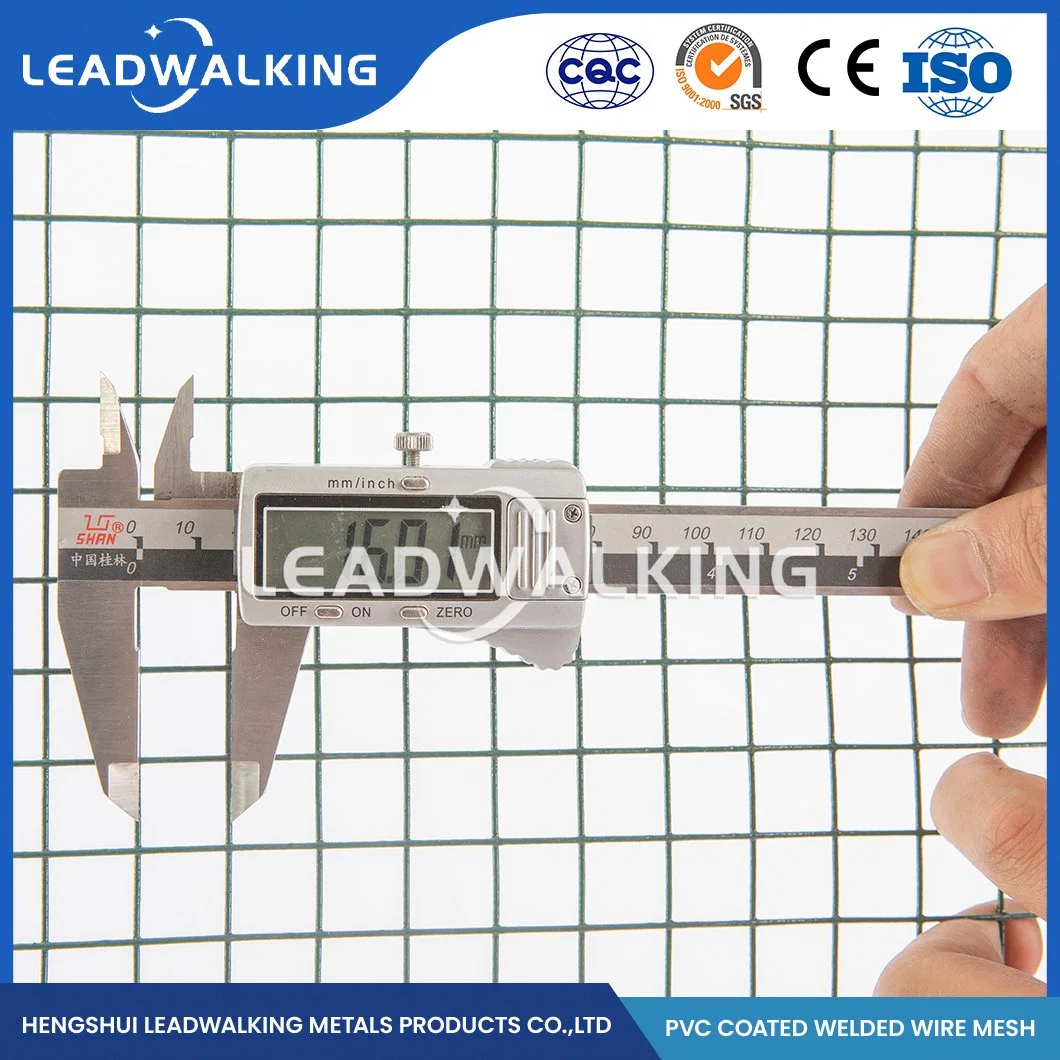 Leadwalking Geschweißte Drahtgitternetzplatten Fabrik Hochwertige Verzinkte Geschweißte Draht Netzing China 25.0X25.0mm Kunststoff PVC-beschichtet geschweißte Drahtgitter