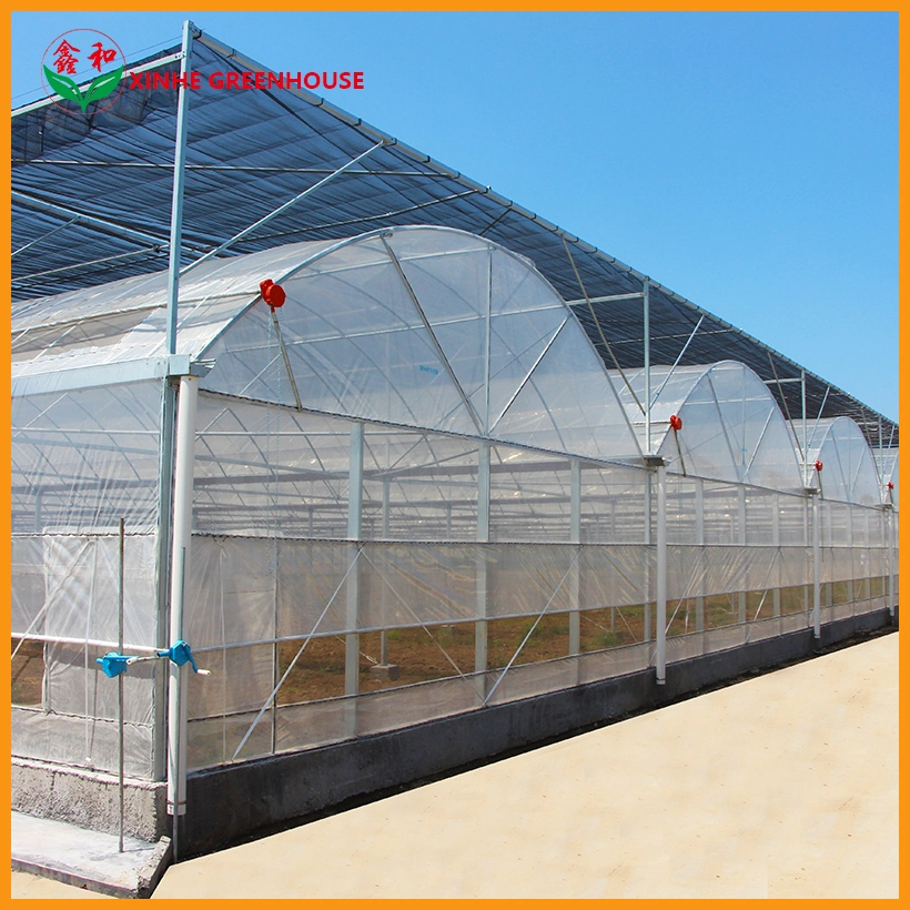 Glasshouse Serre Garden Warm Agro Multi Span Greenhouse with Cooling System for Agriculture