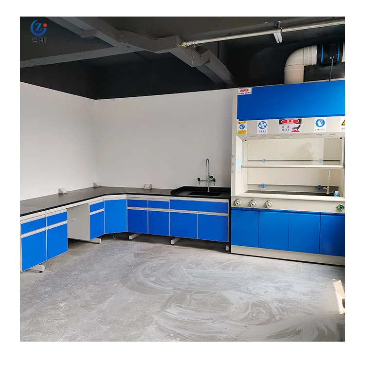 Foshan Fume Hood Lab Equipment Laboratory Мебель