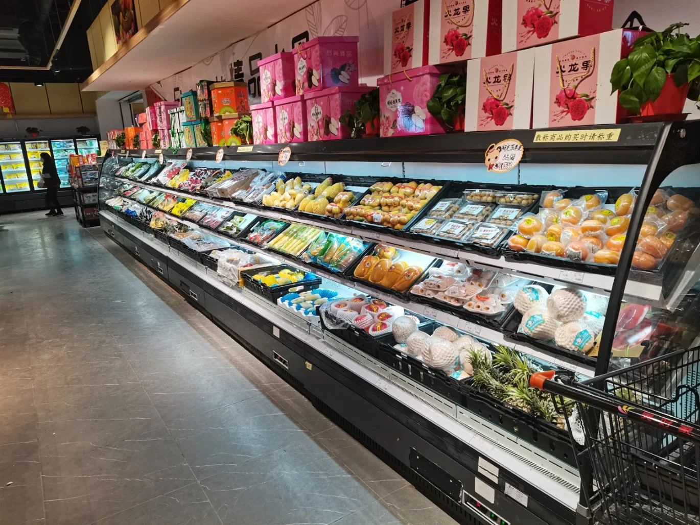 Commercial Supermarket Arc Refrigerator Equipment Open Display Freezer for Fruits/Vegetables