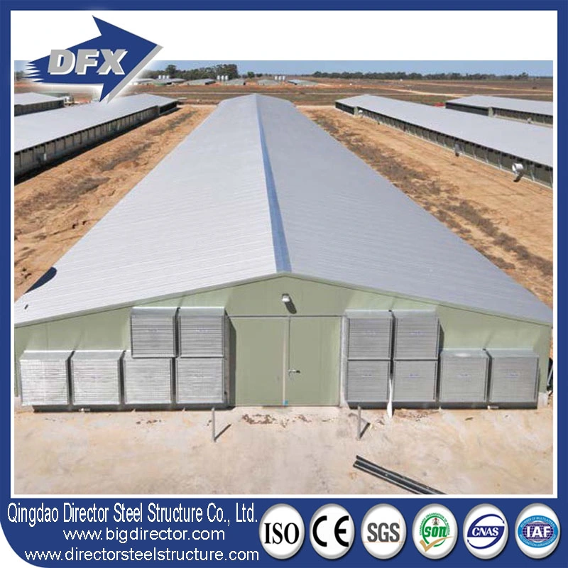 Dfx Steel Structure Chicken Shed Building Controlled Poultry Farms