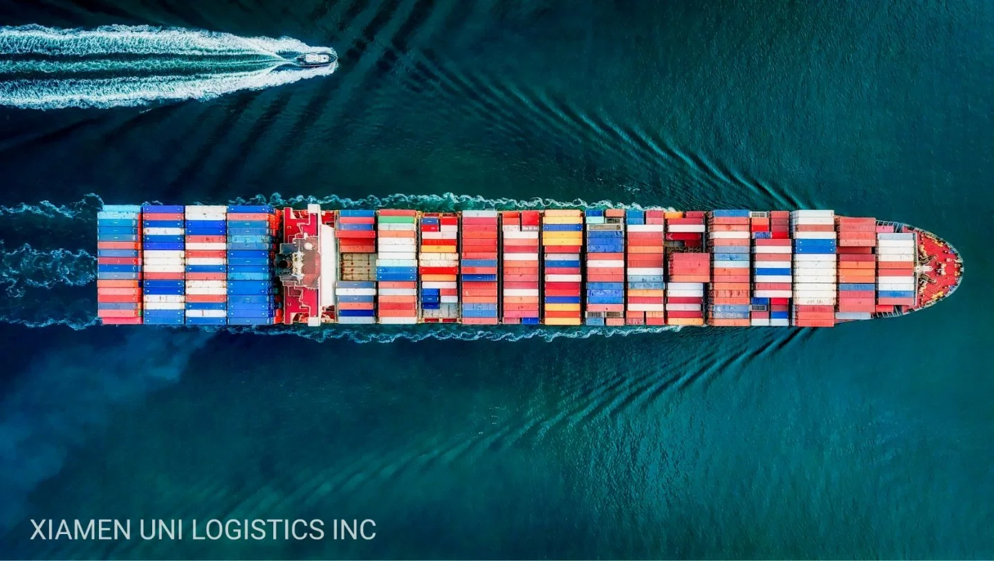 Servicio de carga de contenedores marítimos desde China a Jebel Ali, Dubai/Port Kelang, Singapur/Mundra, India