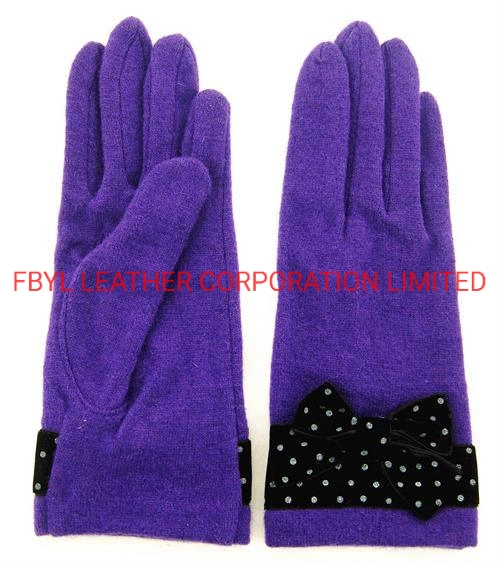 Lady Fashion Wool/Winter/Warm with Touch Screen Function Gloves (JYG-25040)