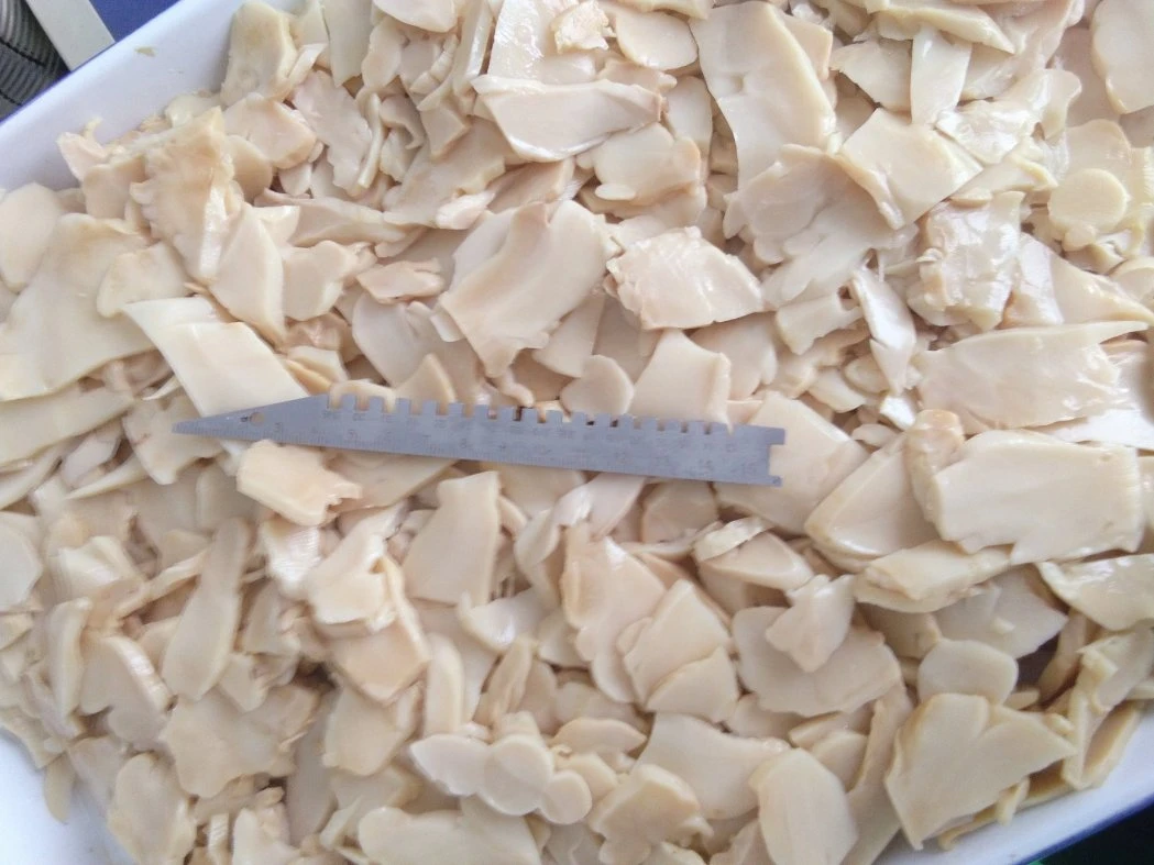 Chinese Wholesale/Supplier Easy Open Canned Oyster Mushroom Pieces & Stems in OEM