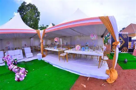 Outdoor Chair Canopy Outside Event Glamping Camping Party Dome Wedding Roof Top Tent