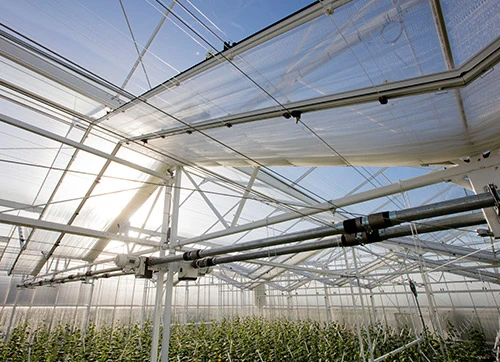 Glass Manufacturer Clear Tempered Glass Agricultural Glass Multi-Span Greenhouse Glass