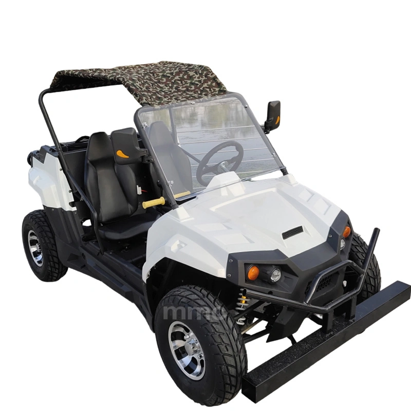 MMC Lithium Battery All-Terrain Electric UTV Go-Kart Tourist Car with Cargo Box