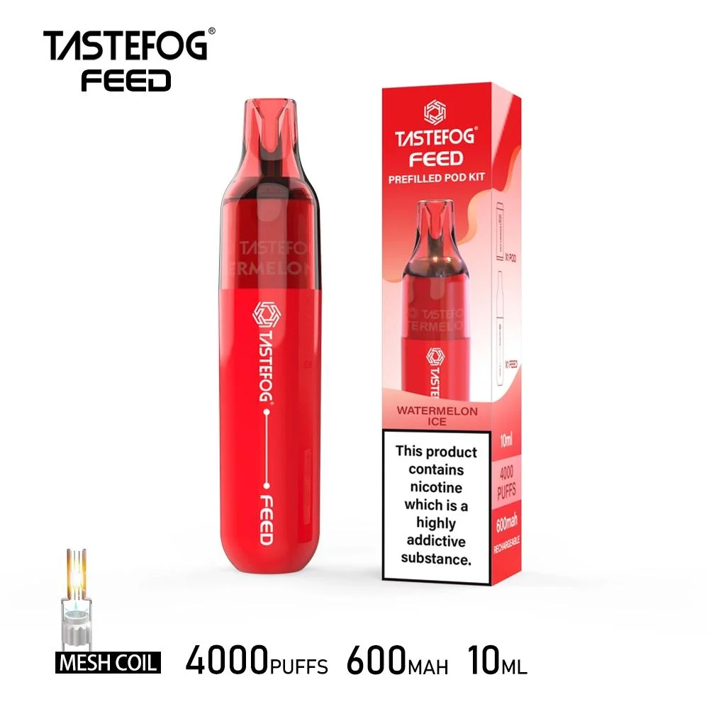 Tastefog Feed Disposable Vape 4000 Puffs Rechargeable E-Cigarette