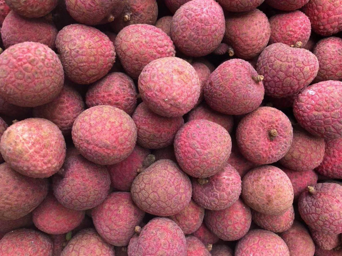 IQF Fresh Fruit Frozen Unpeeled Lychee Whole Export From China