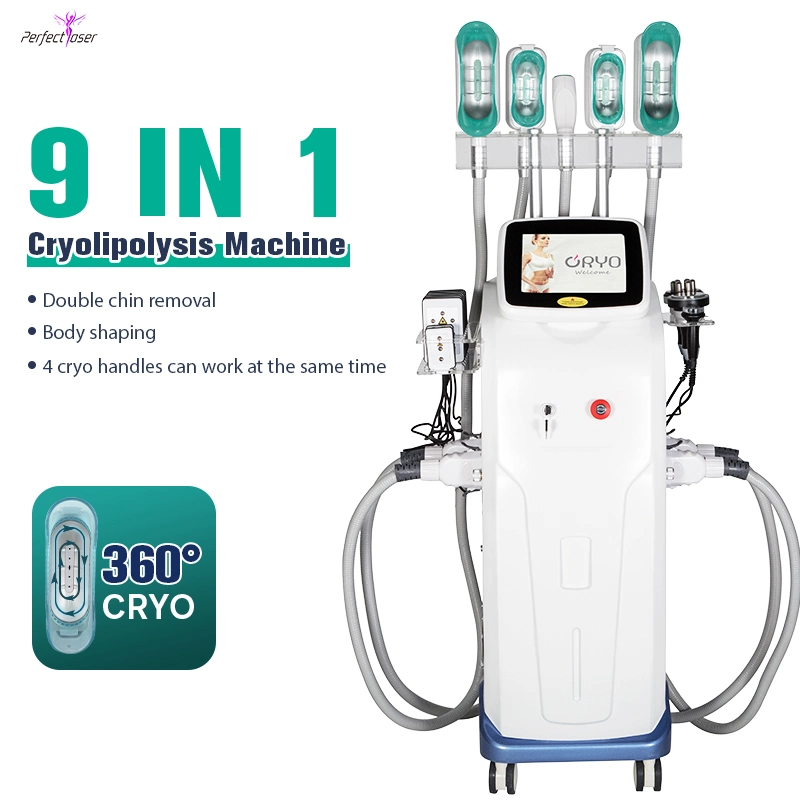 2023 Cryoliolyse 360 Gel de graisse perte de poids Beauté salon Equipement