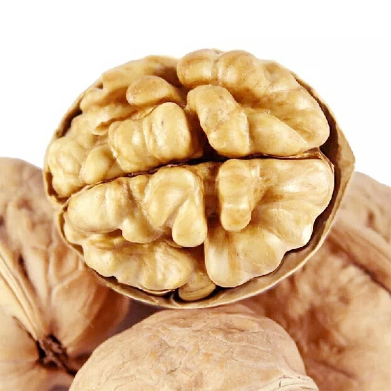 Large Quantities of Xinjiang Walnut Origin for High-Quality Organic Pure Natural Walnuts