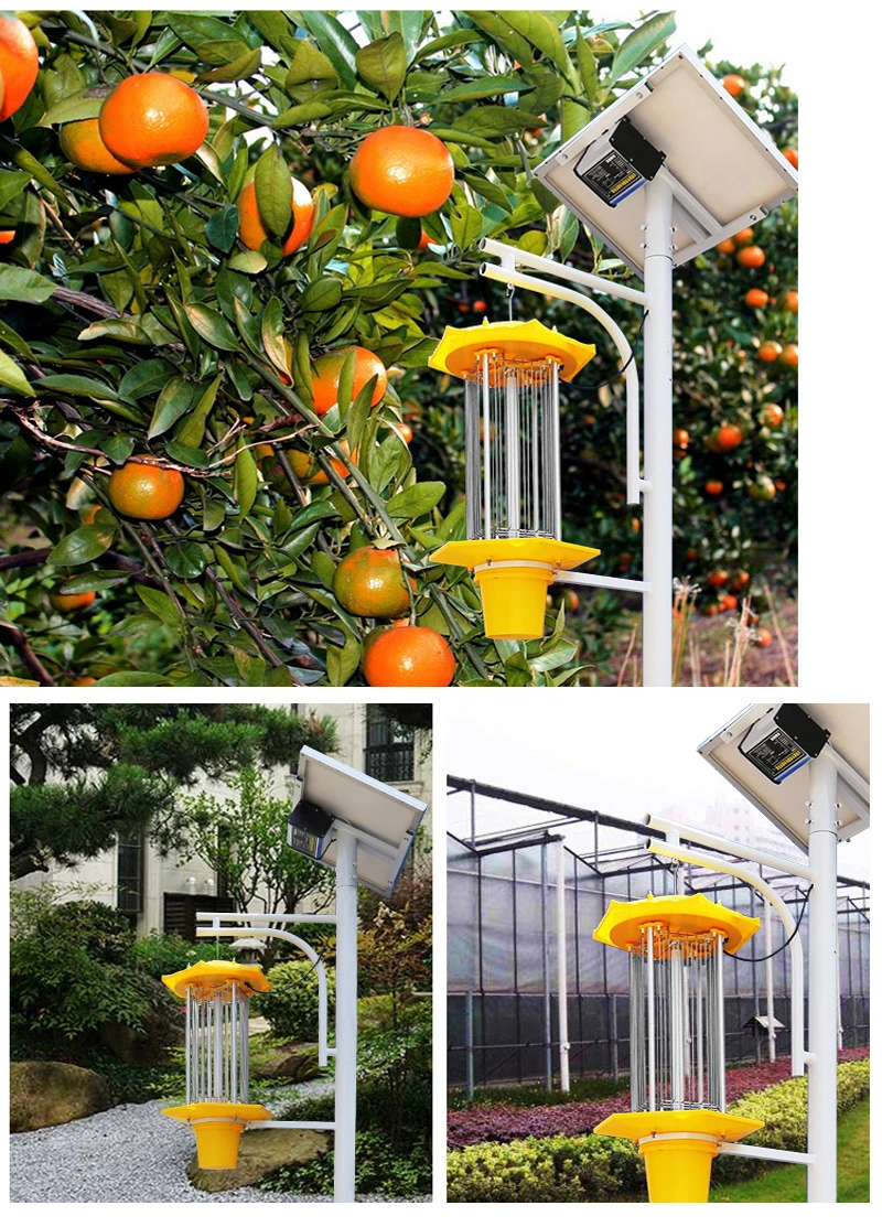 Best Sale Solar Power Pest Killer Lamp for Farm