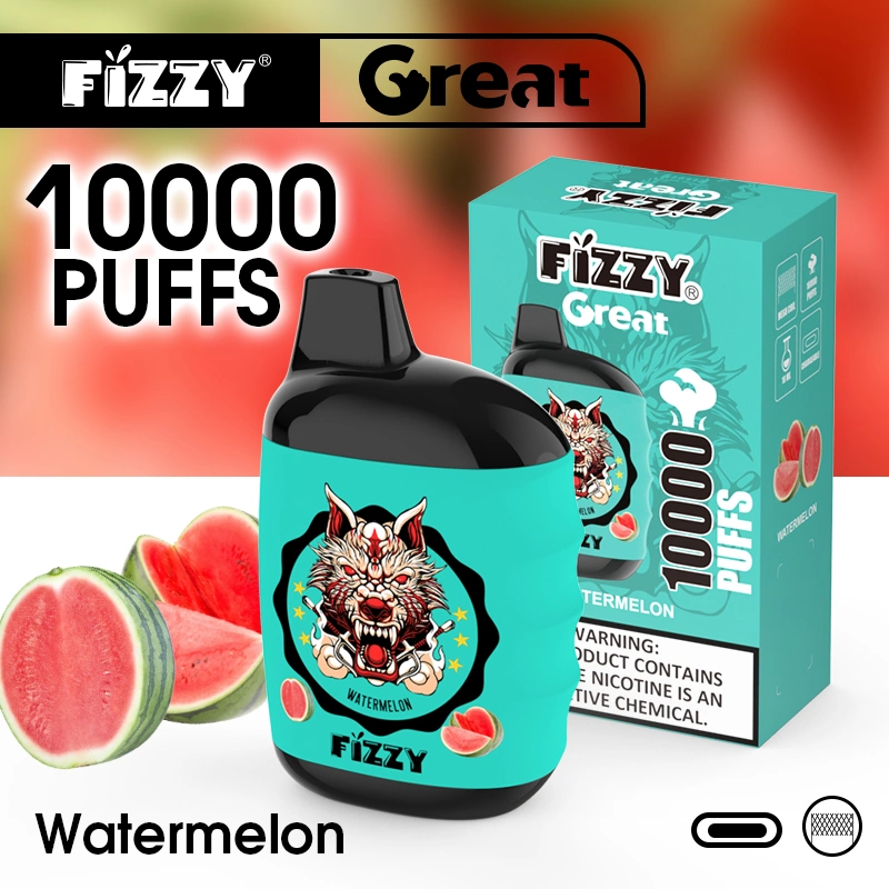 2023 Fizzy Great Latest Big Smoke 10000 Puff Disposable/Chargeable Electronic Cigarette Puff Plus Vape Pen