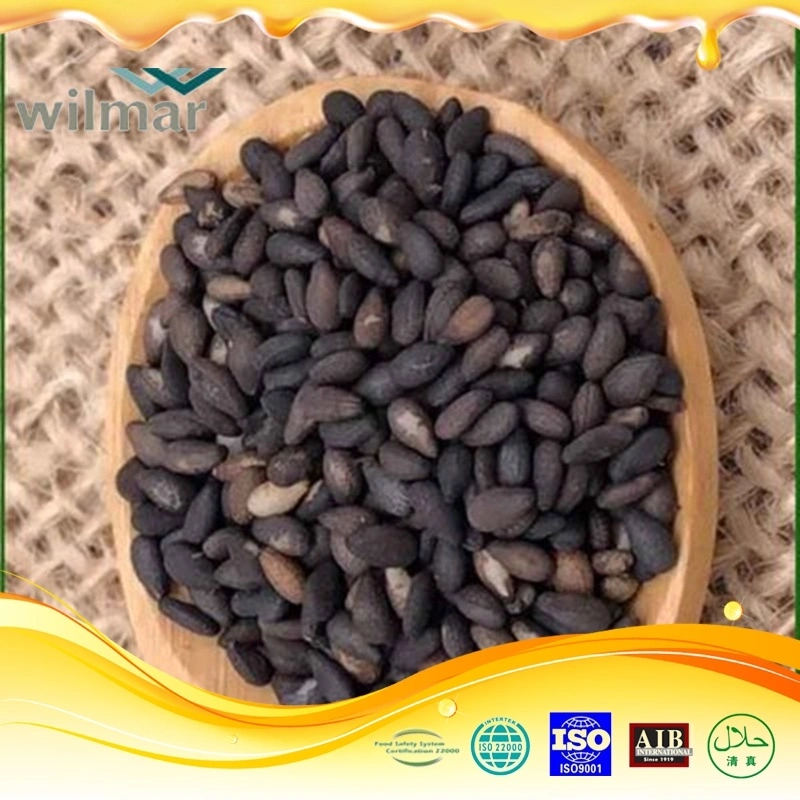 Hulled White Sesame Seeds with Low Price