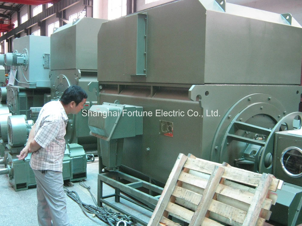 Sugarcane, Cement, Steel Rolling Mill Machine High Voltage Heavy Duty Wound Rotor Slip Ring AC Motor