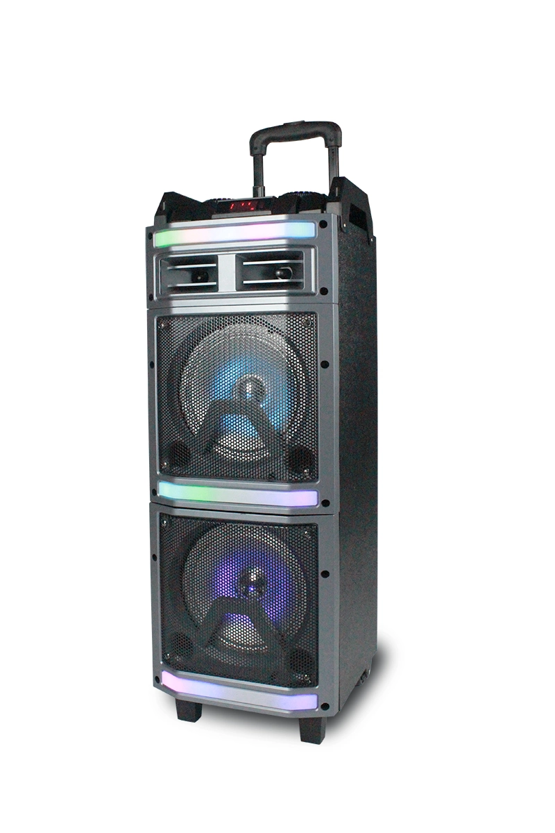 Double 12 Inch Professional Audio DJ Karaoke Sound Box Bluetooth FM Radio Trolley Speaker
