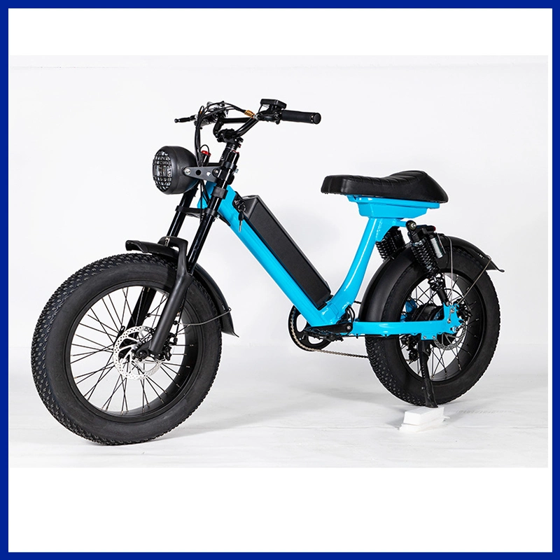 20 Inch Folding Fat Tire Ebike