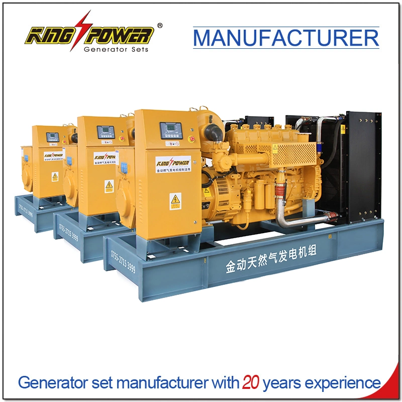 Professional Supplier of 7*24 Hours 20kw Open Silent Natural Gas Biogas CNG LNG LPG Generator