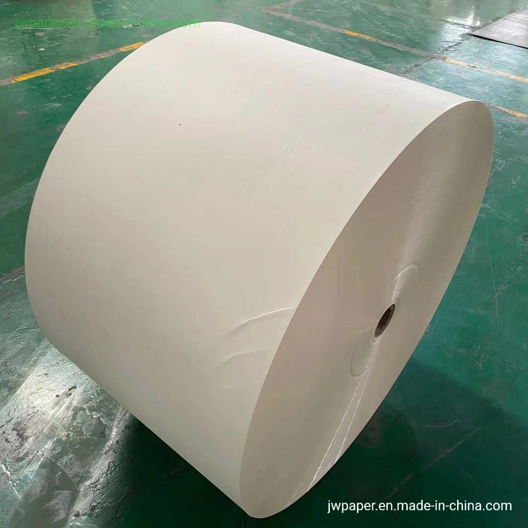 Disposable Paper Cups Rolls/Bottom Round Paper Fan