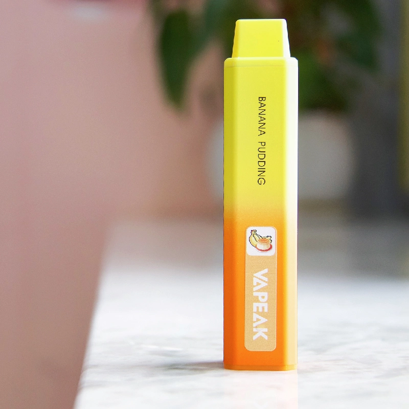 Vapeak Brand Original Newest 5000 Puffs Disposable/Chargeable Vape Pod E Cigarette Device