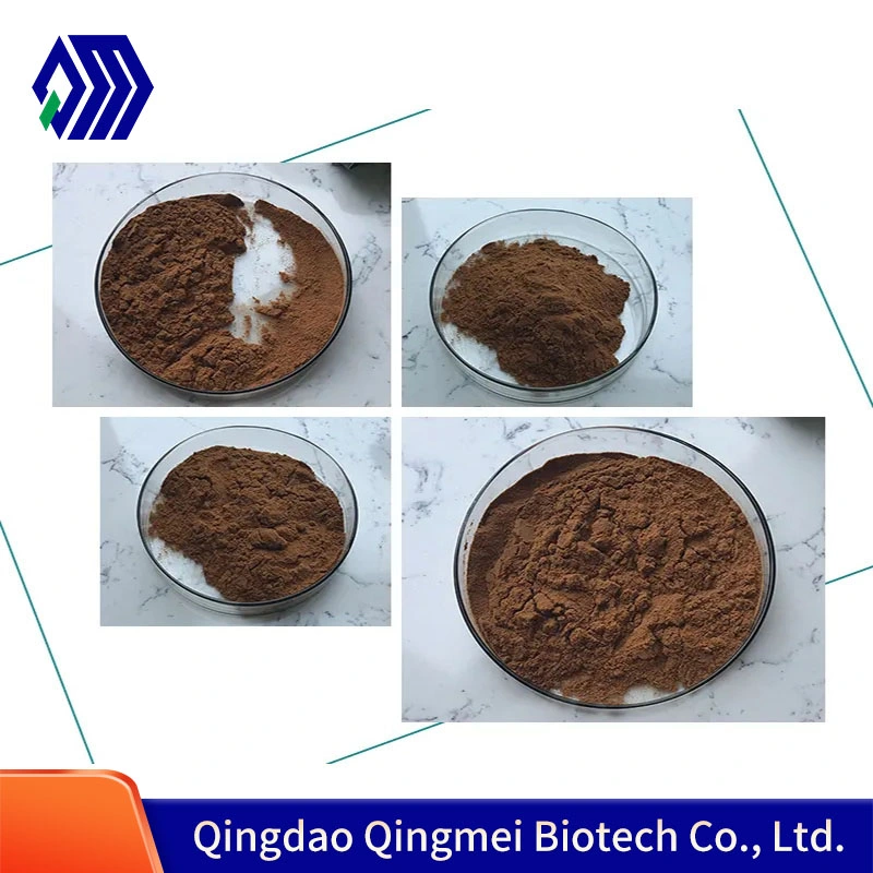 Factory Supply Sparassis Crispa Extract Powder Polysaccharides10%-50%