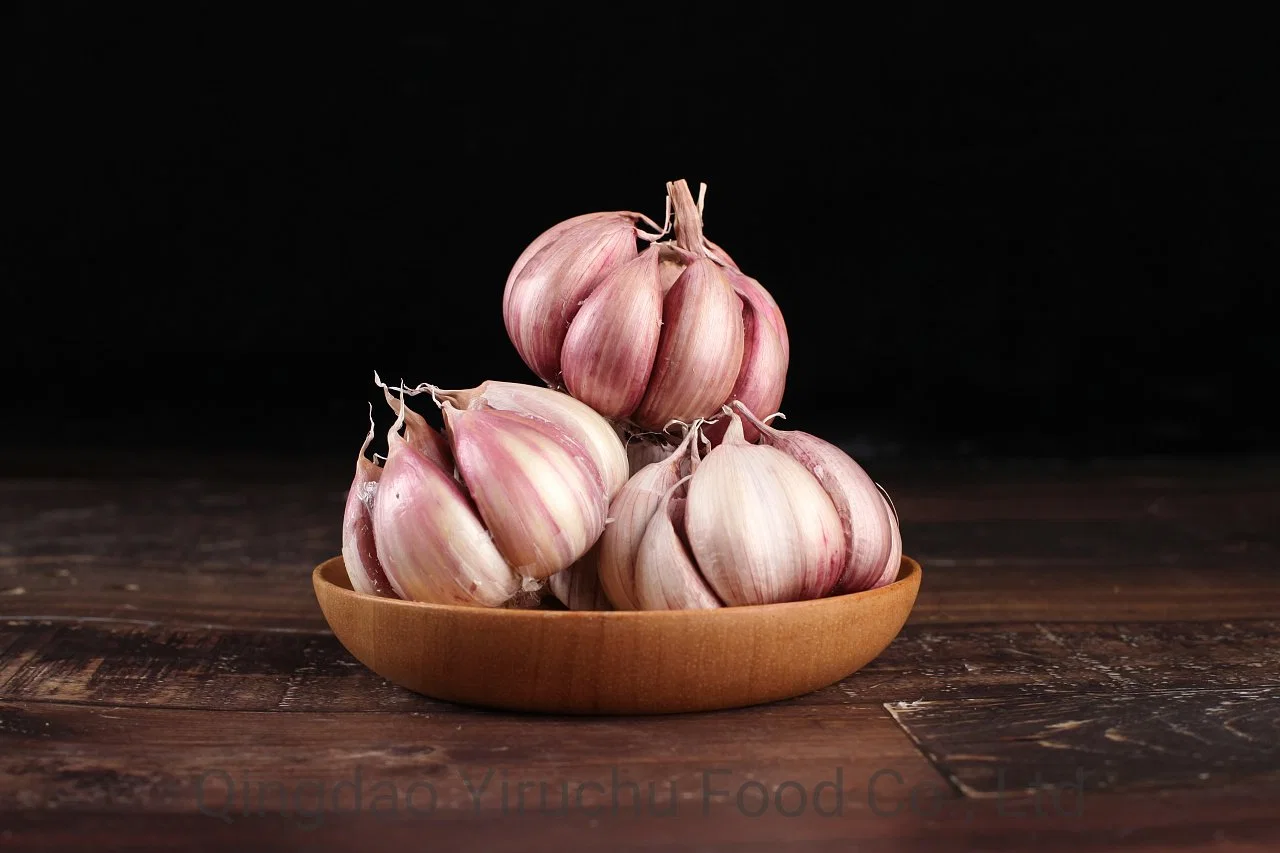 The Best Selling and Hottest Garlic at The Table in Jinxiang, China