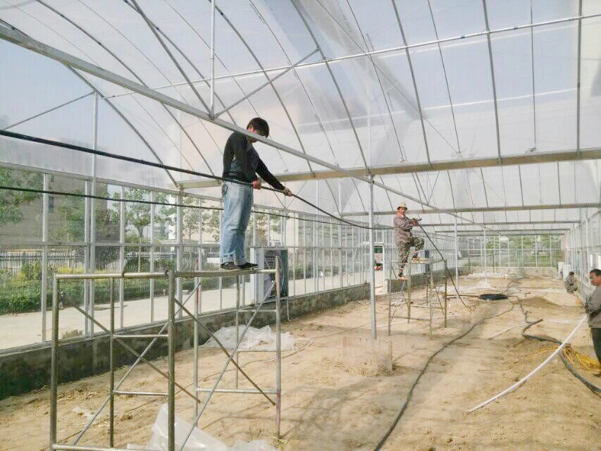 La película túnel alto cubierto de efecto invernadero de tomate con tonalidades verde agrícola neto Casas